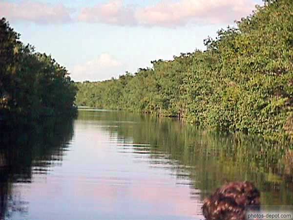 photo de visite des canaux des Everglades