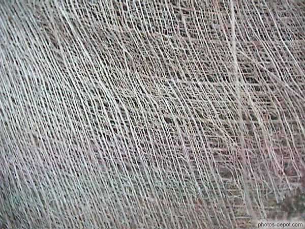 photo de fibres de palmier