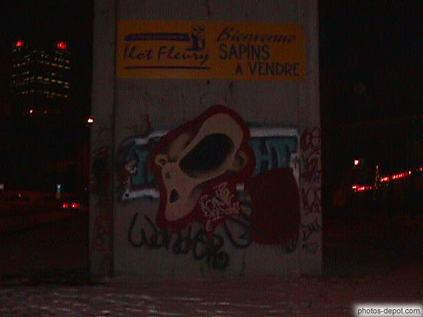 photo de tags à Québec la nuit