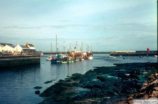 photo de bateaux rassemblés dans le port