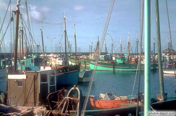 photo de multitude de mats des bateaux de pêche