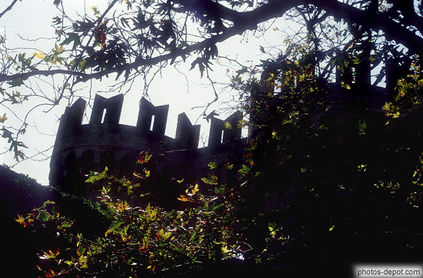 photo de tour de chateau crénelé