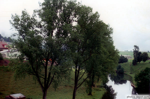 photo d'arbres et riviÃ¨re Unterbach