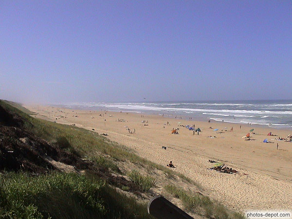 photo de plage et dune