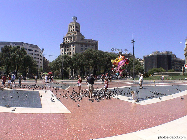 photo de pigeons sur la plaza de Cataluña
