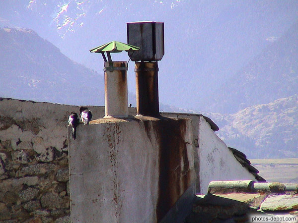 photo d'oiseaux sur la cheminée