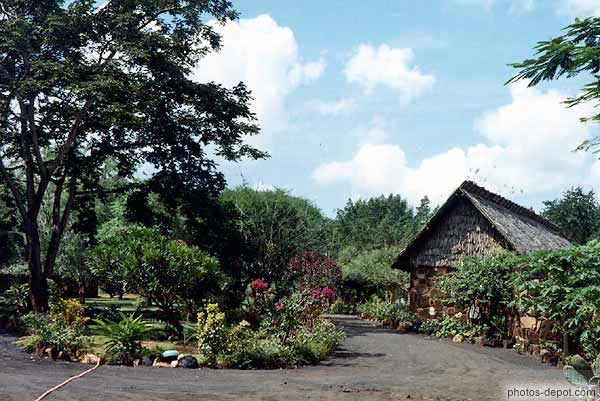 photo de jardin Amboseli