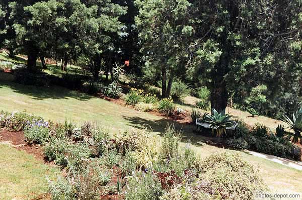 photo de jardins du Amboseli Lodge