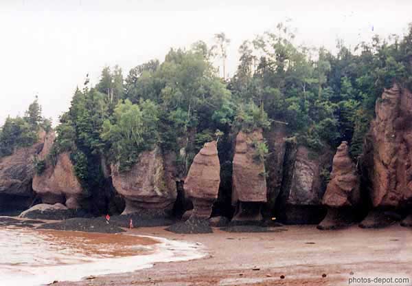 photo de falaises découpées Fundy Park