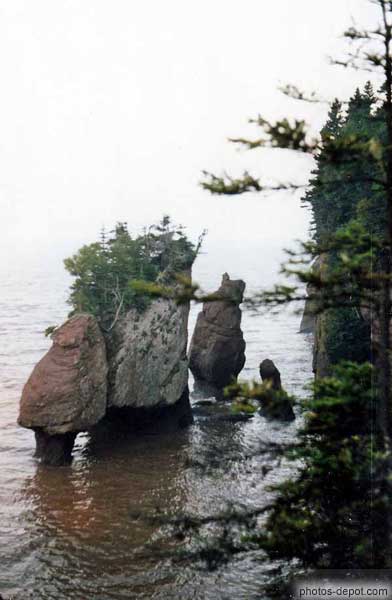 photo de rochers arborés du Fundy Park