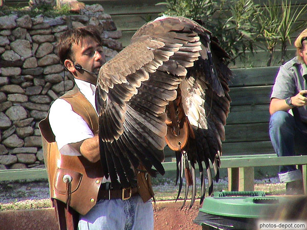 photo d'Aigle chasseur ailes ouvertes sur fauconnier