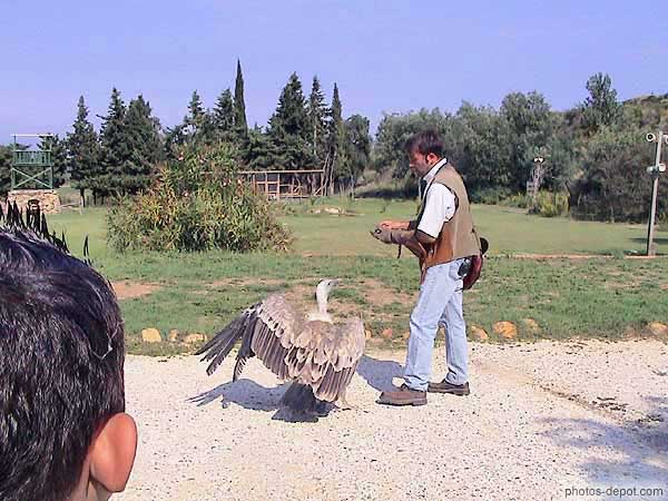 photo de Fauconnier et grand vautour Fauve