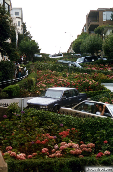 photo de charmante Lombard Street serpente entre les fleurs