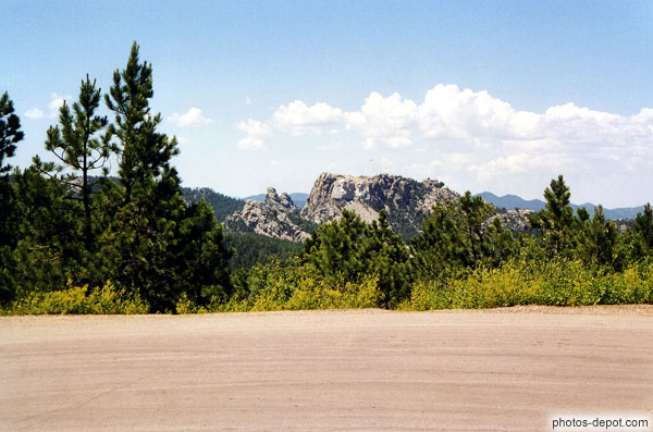 photo de Mont Rushmore dans la forêt Black Hills