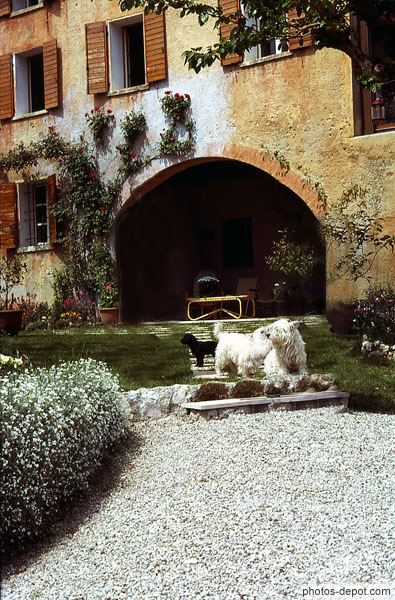 photo de petits chiens devant une Villa à Asolo