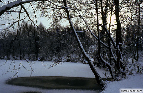 photo d'arbres penchés sur lac gelé