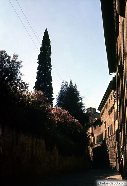 photo de Via di San Nicolo