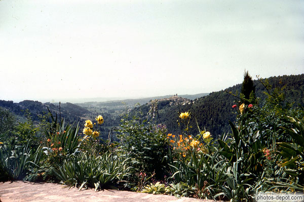 photo de fleurs devant la vallée