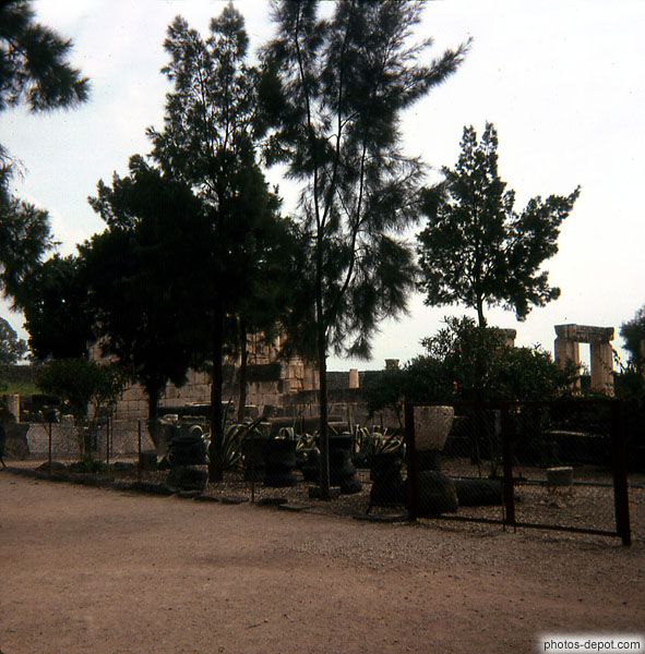 photo d'arbres devant ruine de temple