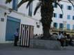 Cabine policier et palmier / Tunisie, Tunis