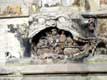DÃ©tail bas relief : les enfers, chapelle rayonnante, cathÃ©drale St Just / France, Languedoc Roussillon, Narbonne
