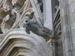 Gargouille homme bouche ouverte tendant l'oreille / France, Languedoc Roussillon, Carcassonne, Basilique St Nazaire