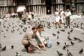 Couple nourrissant les pigeons / Italie, Venise