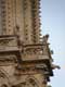 Gargouilles de diables cornus sur la Cathédrale Notre Dame