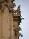 Gargouilles sur la Cathédrale Notre Dame