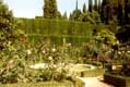 Jardins de roses, l'Alhambra / Espagne, Grenade