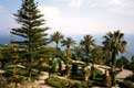 Jardins de palmiers dominant la baie