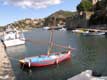 Barques Catalanes à voile latine, les sardinals sont des bateaux de pêche à Sardine et Anchois / France, Languedoc Roussillon, Collioure