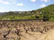 Vignes, aqueduc romain et village d'Ansignan dans les Fenouilledes / France, Languedoc Roussillon, Ansignan