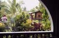 Singes dans petite cabane de bois / Indonesie, Bali