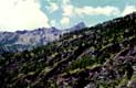 Flanc rocheux et épineux / Italie, Dolomites