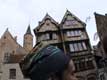 Tête bonnet maisons de bois / Belgique, Bruges