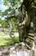 Statue d'éléphant sort du temple / Thailande
