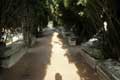 Allée aux ciprès et sarcophages vides en guise de bancs