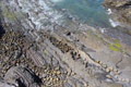 Formations rocheuses en bord de mer / Espagne, Pays Basque, San Juan Gaztelugatxe