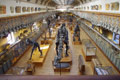 Grande Galerie d'ostologie du Musum National d'Histoire naturelle