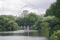 London Eye depuis St James Park / Angleterre, Londres, tour