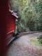 Vue du train à vapeur / USA, Floride, Disney Park
