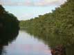 Visite des canaux des Everglades
