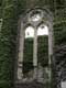 Fenetre envahie par le lierre / Belgique, Abbaye de Villers