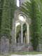 Fenêtres du réfectoire des moines / Belgique, Abbaye de Villers