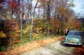 Vieille voiture sur chemin de forêt en automne