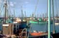 Multitude de mats des bateaux de pêche / France, Bretagne, Lesconil