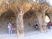 Colonnes-piliers en pierres non dégrossies bordant une avenue couverte de Gaudi