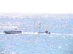 Petit bateau à voile tracté par bateau à moteur / France, Languedoc Roussillon, Perpignan