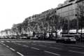 Arbres illuminés sur les Champs Elysées